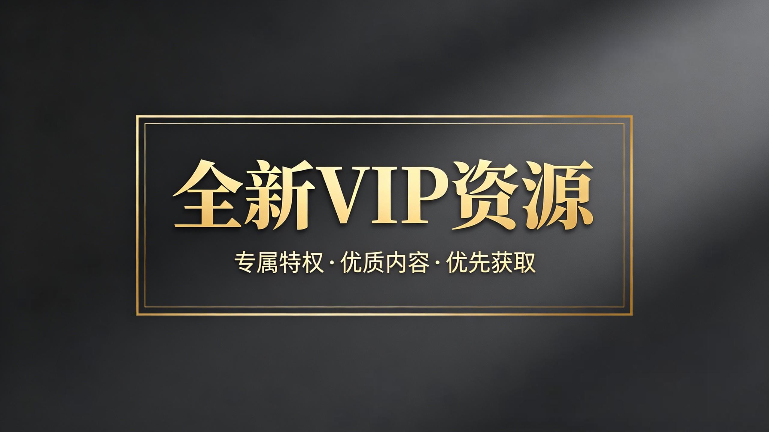 全新VIP资源